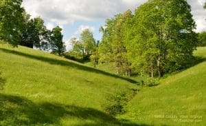 Wood County, West Virginia (WV)