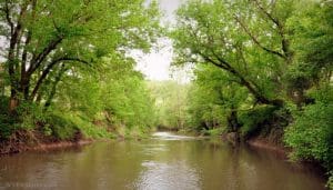 Eighteenmile Creek At Extra in West Virginia