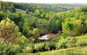 Farm Pond Near Robertsburg in West Virginia