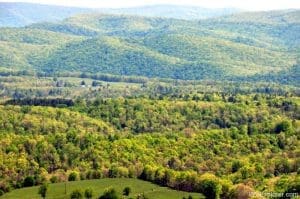 Spring arrives in Pocahontas County, Allegheny Highlands Region