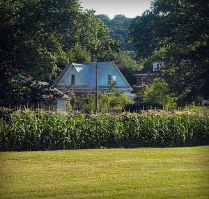 Backyard garden at Alderson, WV, Greenbrier County, Greenbrier Valley Region