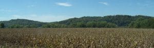 Cornfield, Jackson County, WV, Mid-Ohio Valley Region