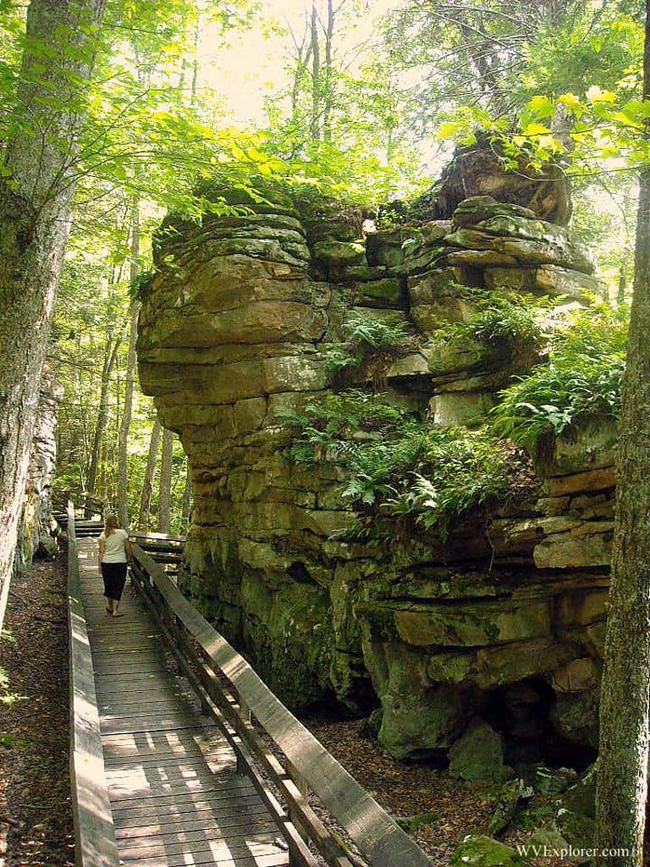 Boulders at Beartown State Park near Hillsboro, WV, Pocahontas County, Greenbrier Valley Region, Allegheny Highlands Region