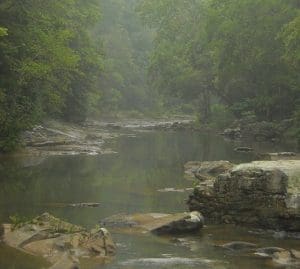 Fog on Birch River near Herold, WV, Braxton County, Heartland Region