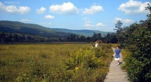 Boardwalk at Cranberry Glades near Hillsboro, WV, Pocahontas County, Allegheny Highlands Region