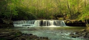 Mash Fork Falls at Camp Creek State Park