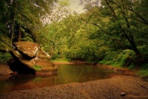 Pocatalico Rive near Walton, WV, Roane County, Heartland Region