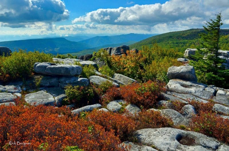 September view at Dolly Sods Wilderness, Tucker County, Allegheny Highlands Region