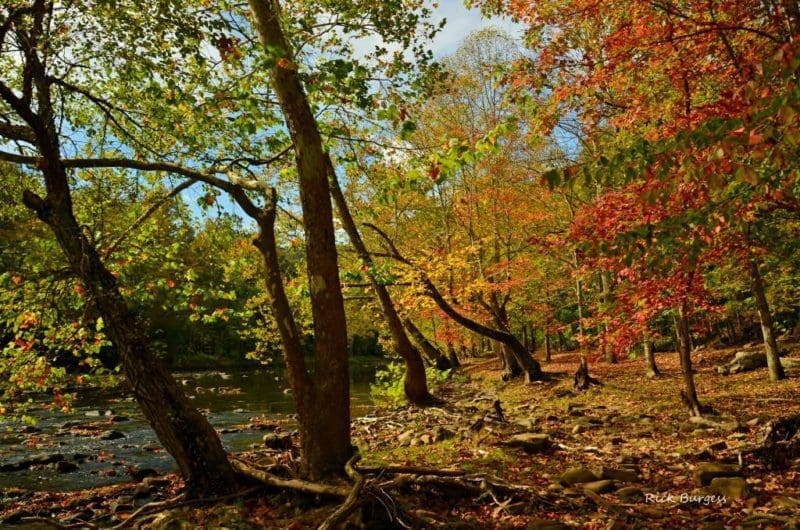 Autumn on Bluestone River, Bluestone National Scenic River, Bluestone Region