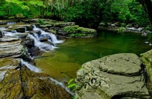 Campbell Falls at Camp Creek State Park, Mercer County, Bluestone Region