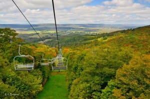 View from ski lift at Canaan Valley State Park, Tucker County, Allegheny Highlands Region