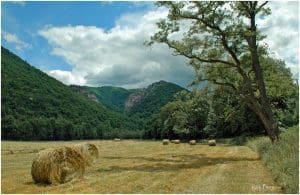 Champe Rocks near Seneca Rocks, Grant County, Potomac Branches Region