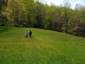 Field near Ireland, WV, Lewis County, Monongahela Valley Region