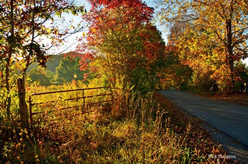 Backroad in Mercer County, Bluestone Region