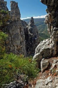 Spires on North Fork Mountain, West Virginia Crag, Pendleton County, Potomac Branches Region