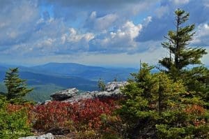 Patterson Creek Mountain from Bear Rocks Preserve, Dolly Sods Wilderness, Potomac Branches Region