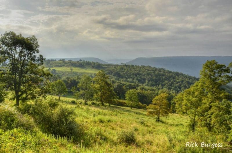Saddle in New Creek Mountain, Mineral County, Potomac Branches Region