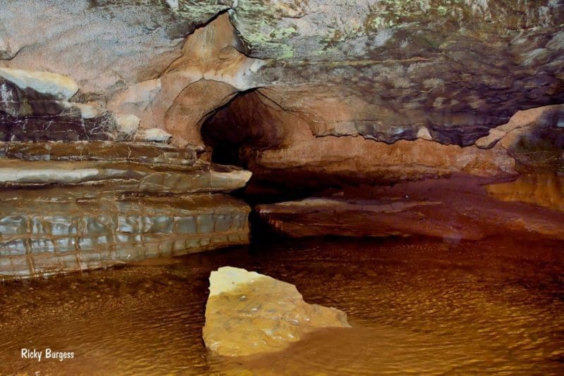 Inside the Sinks of Gandy Inside the Sinks of Gandy, Randolph County, Allegheny Highlands Region