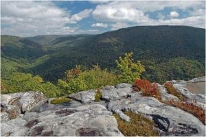 Red Creek in the Dolly Sods Wilderness, Tucker County, Allegheny Highlands Region.
