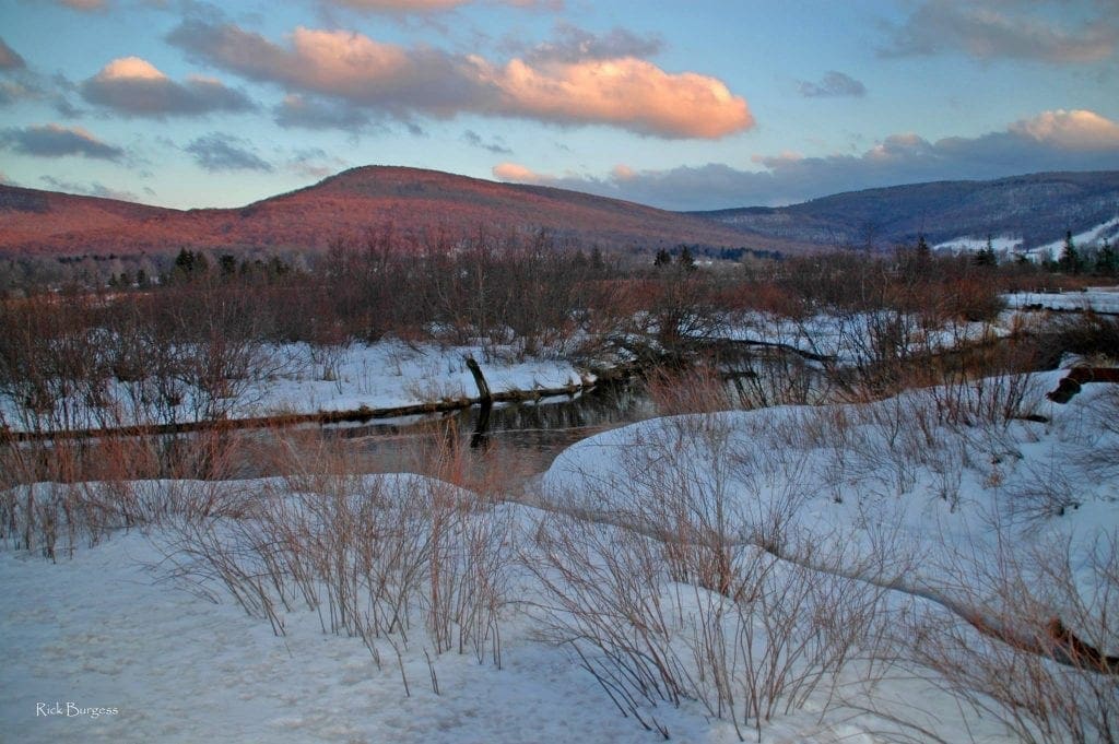 Blackwater River, Canaan Valley, Allegheny Highlands Region