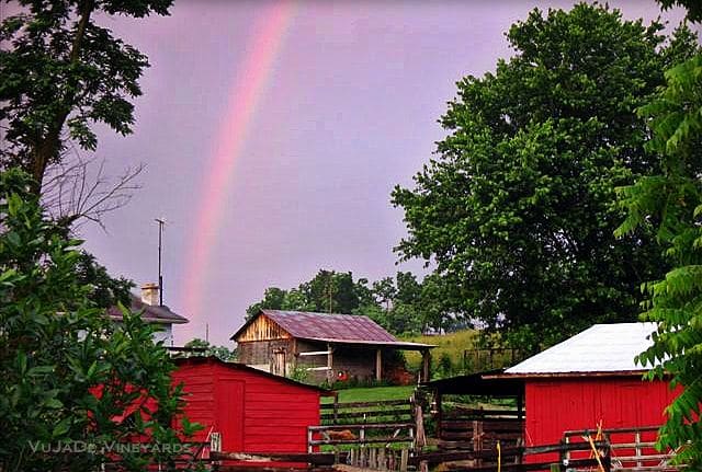 Rainbow at Vu-ja-de Vineyard Winery touring at Vu ja De Vineyards, Spencer, WV