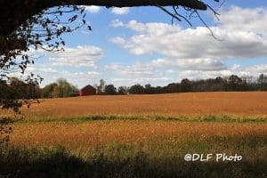 Farm in Monongahela Valley Monongahela River