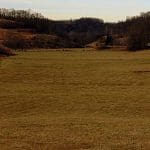 Pruntytown Wildlife Management Area, Pruntytown, WV, Taylor County, Monongahela Valley Region