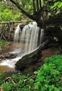 Upper Falls of Hills Creek, Hillsboro, West Virginia, Monongahela National Forest, Allegheny Highlands Region