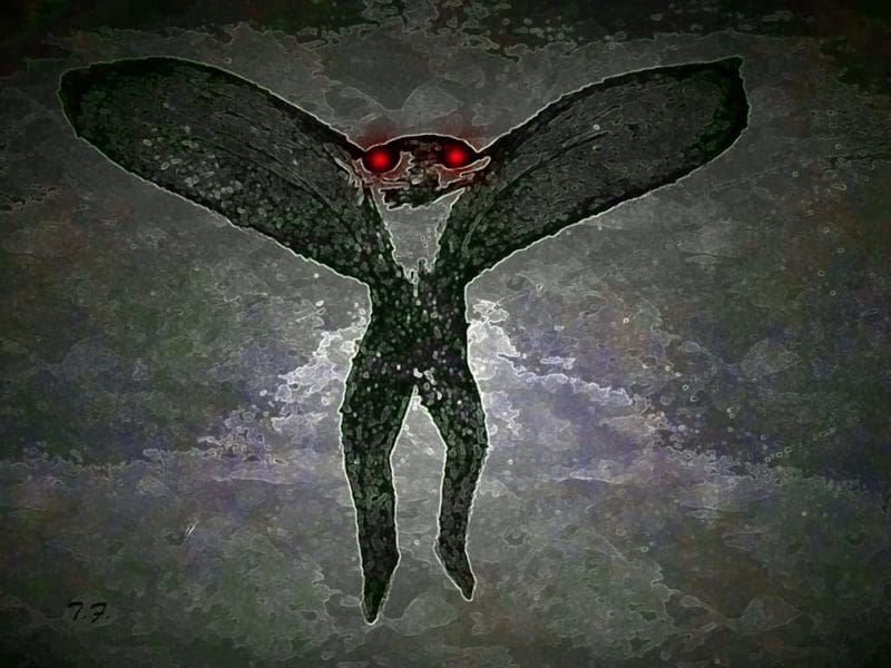 Mothman Mothman by Ted Fauster