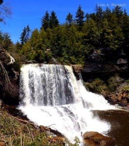 Blackwater Falls at Blackwater Falls State Park