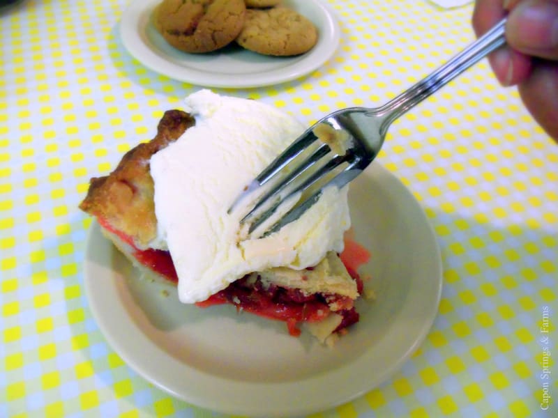 Rhubarb pie served at Capon Springs & Farms