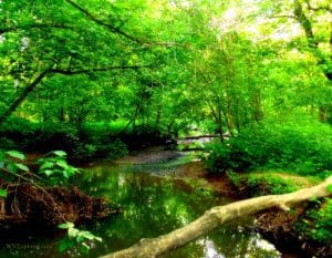 Scary Creek, Putnam County, Metro Valley Region