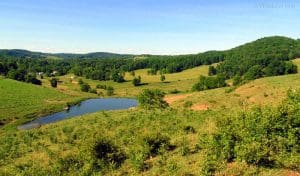Valley of South Fork of Hughes River, Heartland Region