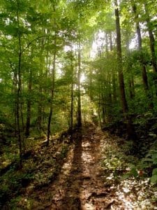 Wallace Hartman Nature Preserve, Charleston, Kanawha County