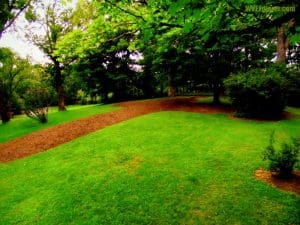 Confederate Cemetery at Lewisburg, Greenbrier County, Greenbrier Valley Region