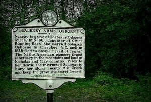 Grave of Seaberry Osborne near Gauley River in West Virginia
