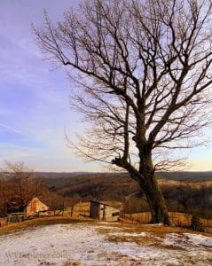 Colt Ridge in West Virginia