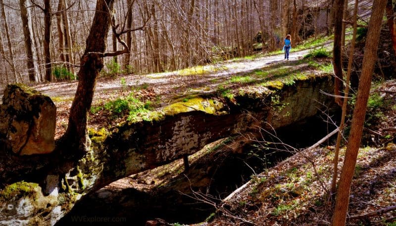 Natural Bridge near Clio, West Virginia, Roane County