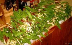 A table full of ramps is ready for cooking.
