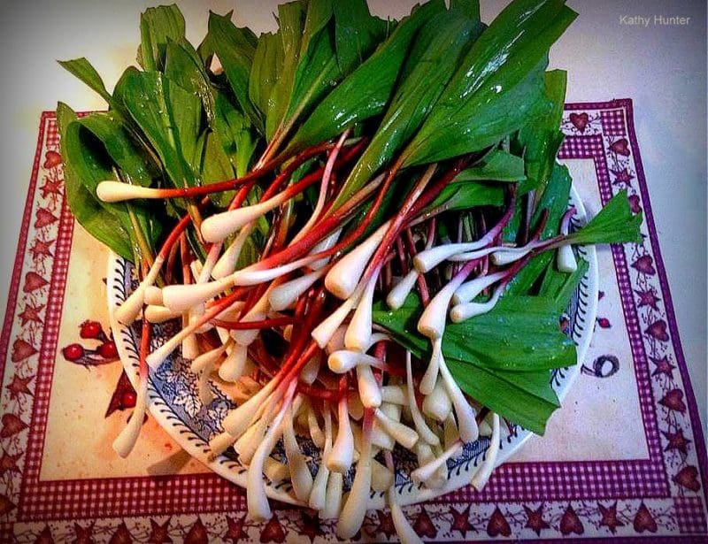 Cleaned ramps in Bowl