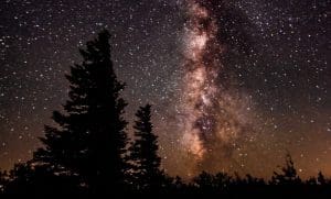 Johnson Personal Voyage Dolly Sods in West Virginia