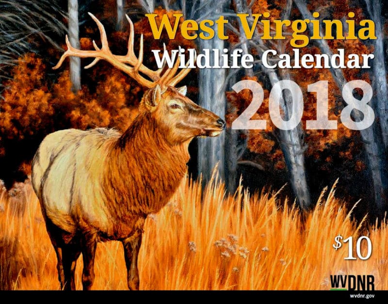 WV Wildlife Calendar 2018 Re-introduced to West Virginia, an elk is featured on the front of the new W.Va. DNR wildlife calendar.