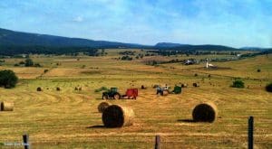 Farmers harvest a summer hay in the valley of the South Branch of the Potomac. Photo courtesy Yvonne Wilcox.