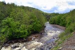 The Shavers Fork of the Cheat River descends out of the high Allegheny Mountains.