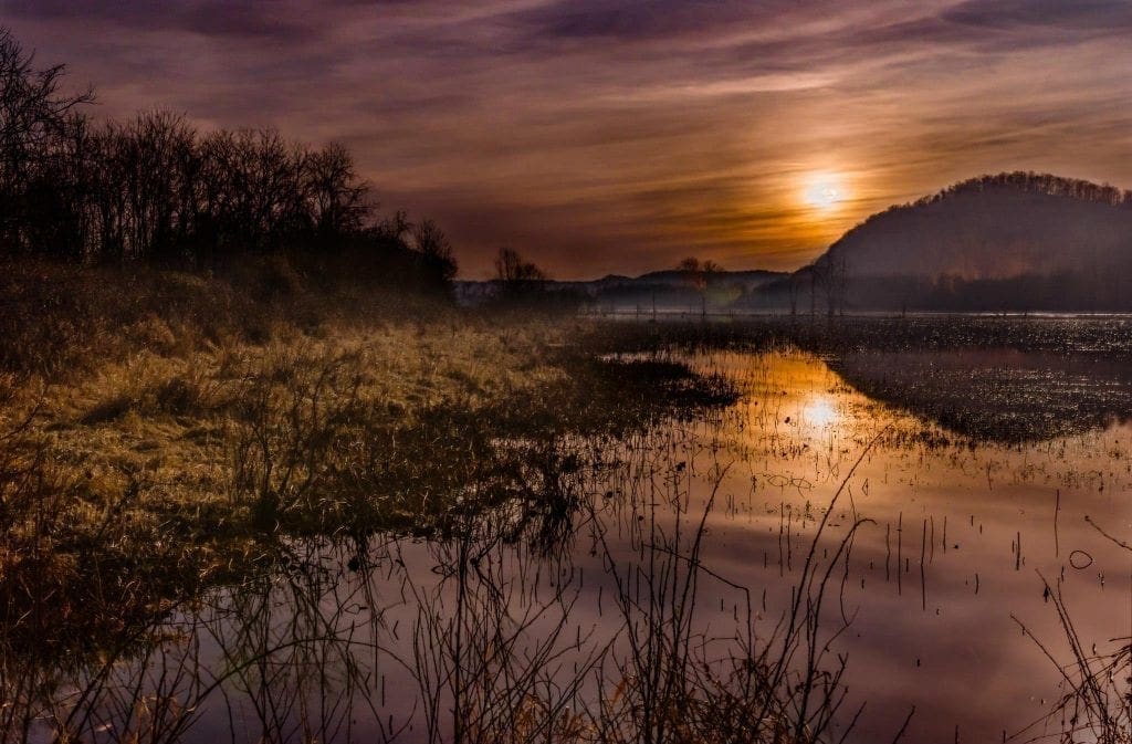 The moon glows like a diminished sun over a pond at Green Bottom.