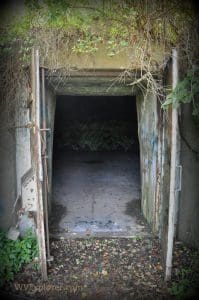 TNT bunkers at the McClintic Wildlife Management Area now hold fans of Mothman transfixed.