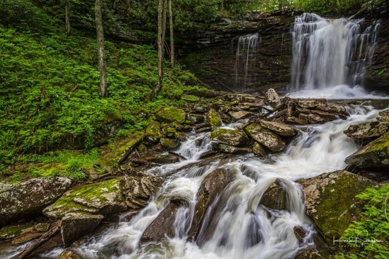 The middle falls of Hills Creek drops into a ferny basin in its descent toward the third falls.