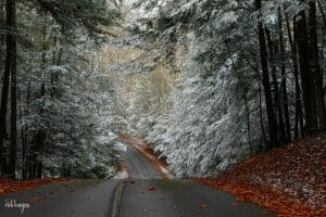 Turkey Spur Road at Grandview. Photo by Rick Burgess.