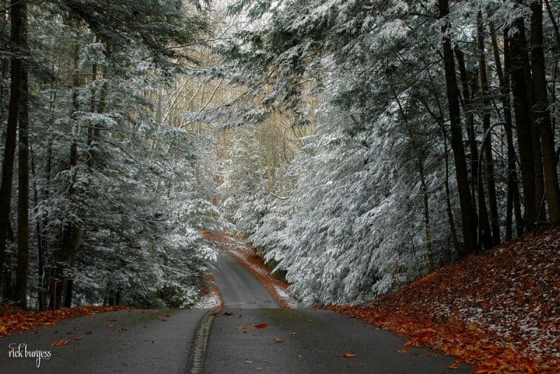 Turkey Spur Road at Grandview. Photo by Rick Burgess.