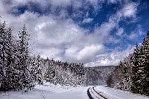 Spruce trees bend under the weight of snow on Black Mountain. Photo courtesy Rick Burgess.
